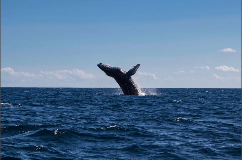 Los Cabos – México
